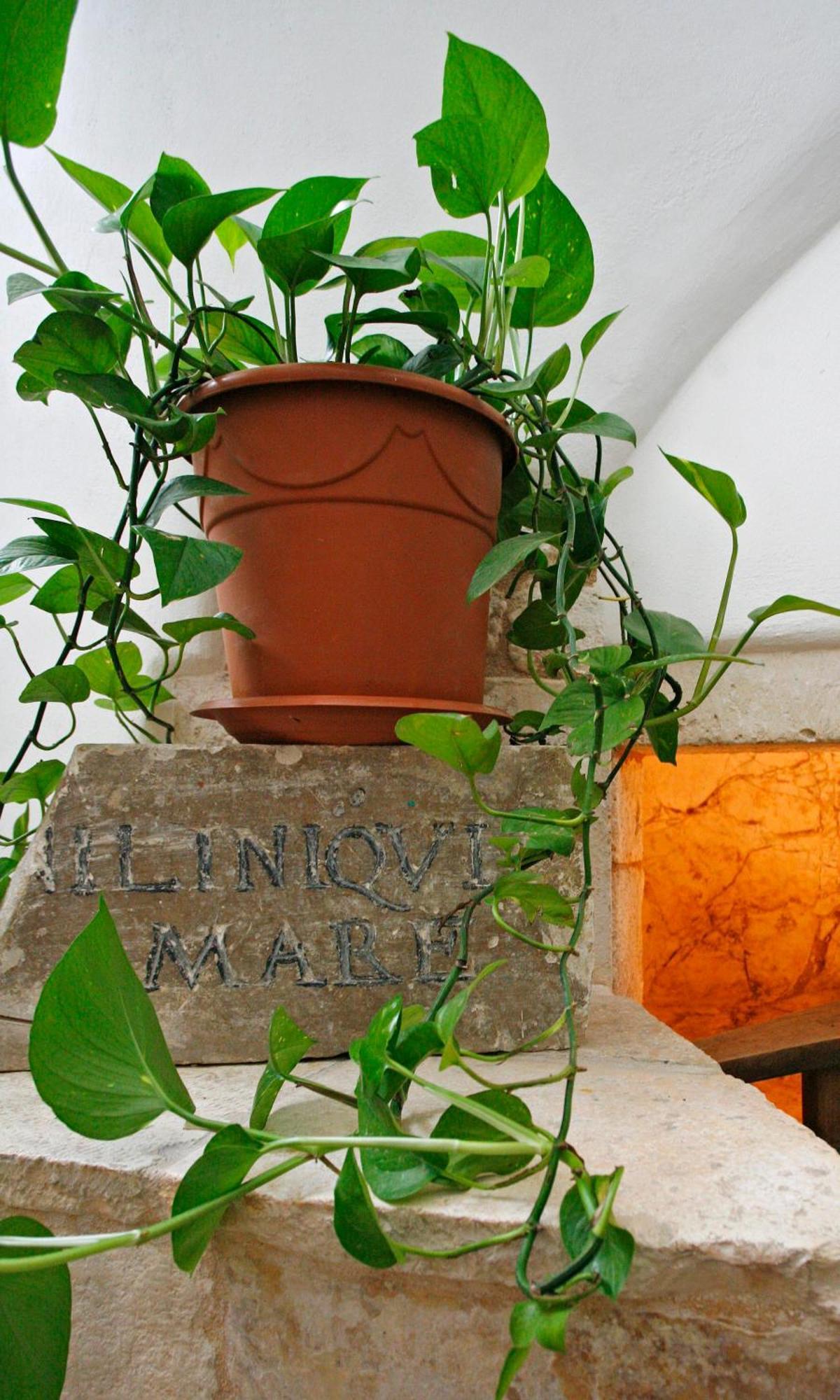 Hotel La Terra Ostuni Extérieur photo